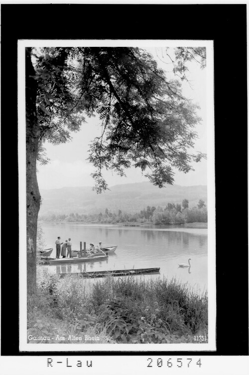 Gaissau - Am Alten Rhein