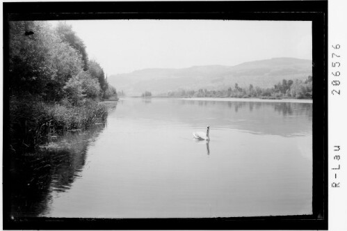 [Gaissau / am Alten Rhein]