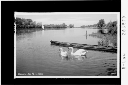 Gaissau - Am Alten Rhein