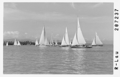 [Segelregatta auf dem Bodensee]