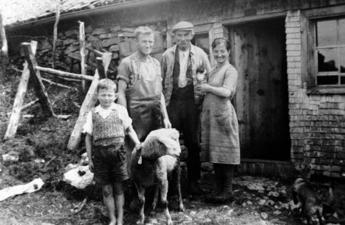 [Alpe Hinter-Baumgarten, Andelsbuch]