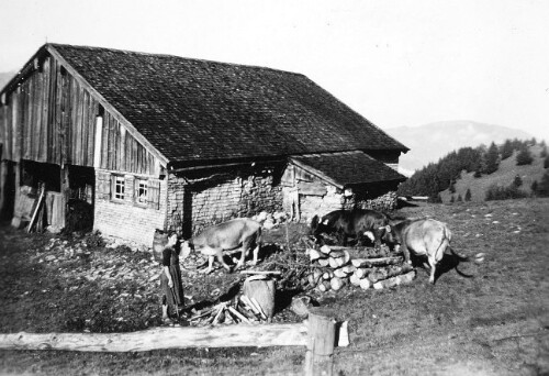 Alphütte Vordere Baumgarten