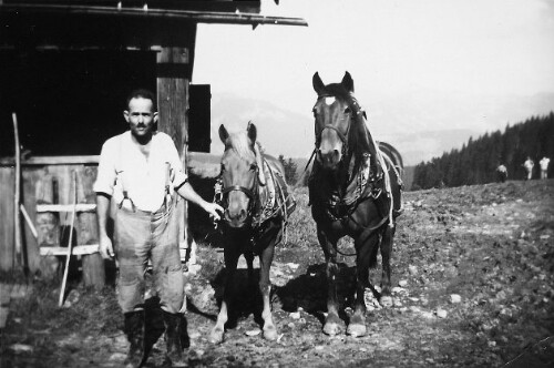 [Alpe Andlis Brongen, Egg]
