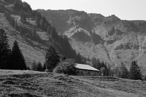 Alphütte Berlingers Ochsenhof