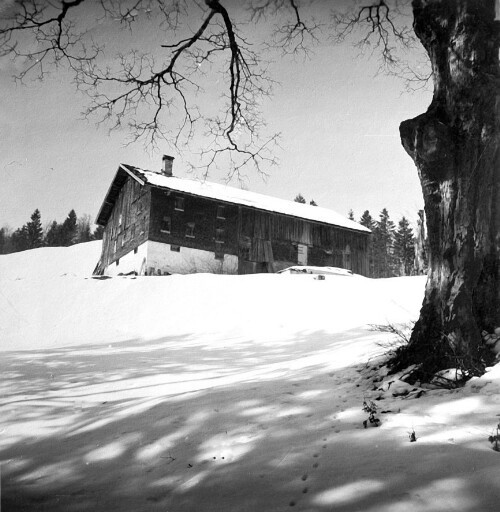 Alphütte Finnisgründ
