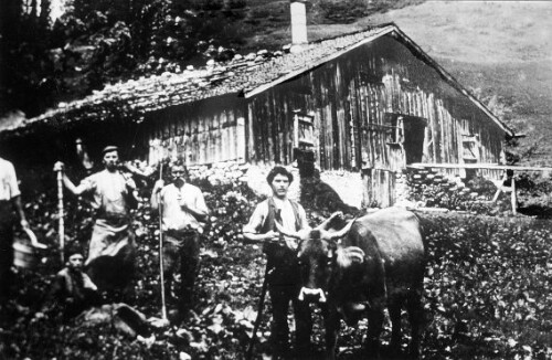 Alphütte Obere Falz