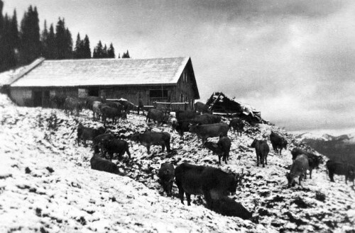 Alphütte Ostergunten