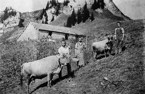 Oberes Lager bzw. Alpehütte Oberer Ostergunten