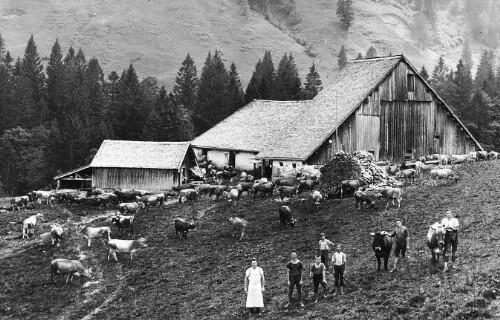 Alphütte Untere Falz