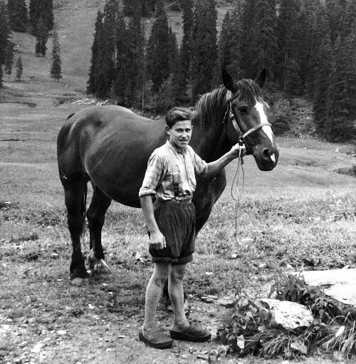 [Alpe Stongen, Bezau]