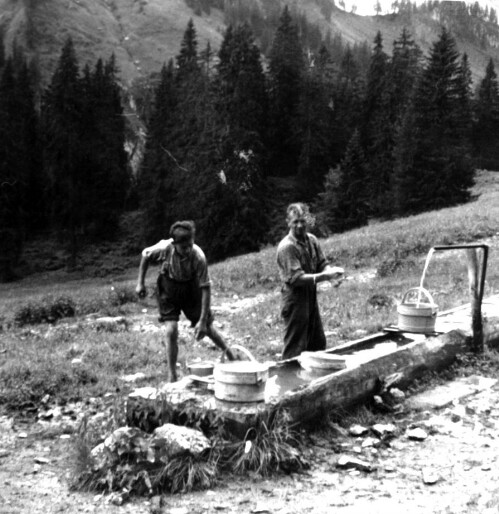 [Alpe Stongen, Bezau]