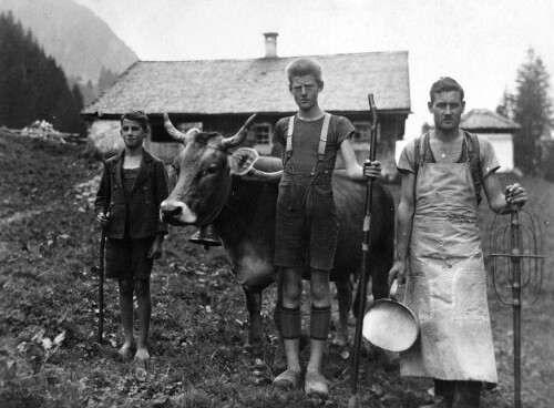 Alphütte Pfützental