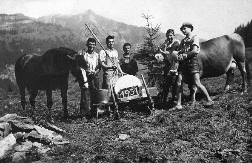 [Alpe Bleichten, Mellau]