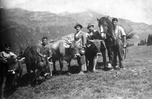 Alpe Vorder-Bleichten