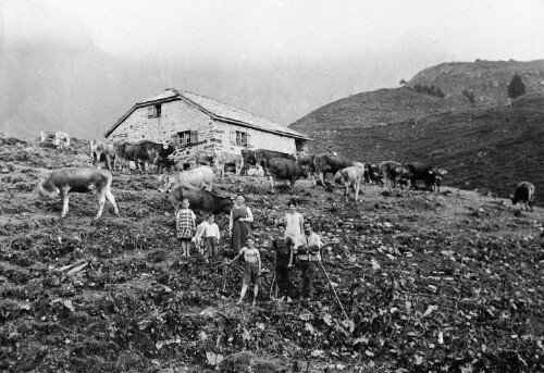 Alphütte Galtsuttis in Mellau