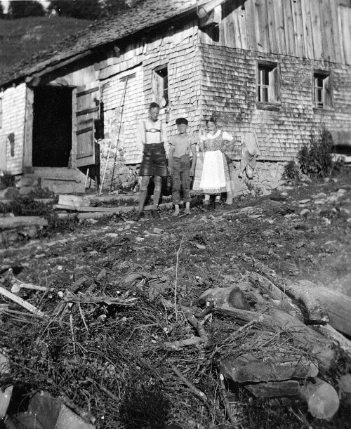 [Alpe Nesselfluh, Mellau]