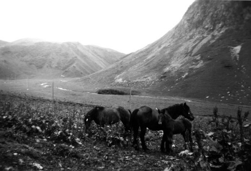 Alpgebiet Unterauenfeld