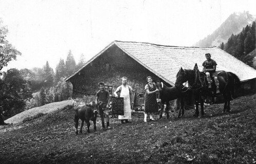Alphütte  Schwarzenberger Platta  in Hittisau