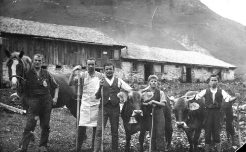 Alpe Unterauenfeld in Schröcken