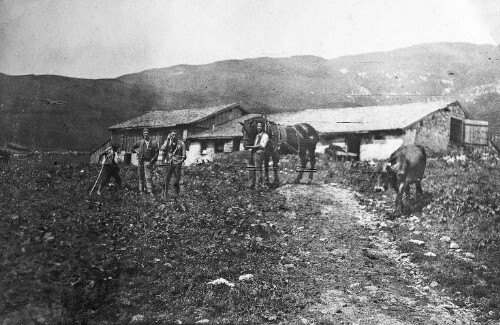 Alpe Unterauenfeld in Schröcken