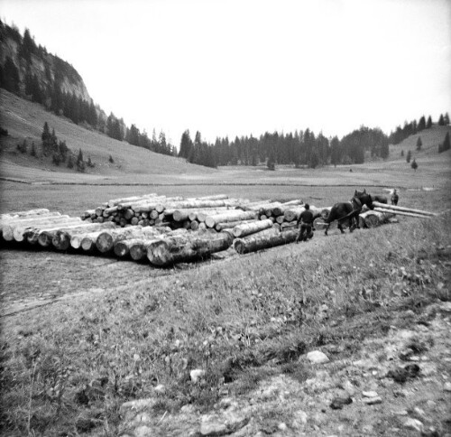 Alpe Schreibere, Bezau