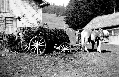 [Vorsäß Hütte, Schwarzenberg]