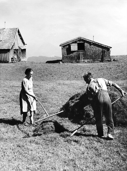 [Vorsäß Hütte, Schwarzenberg]