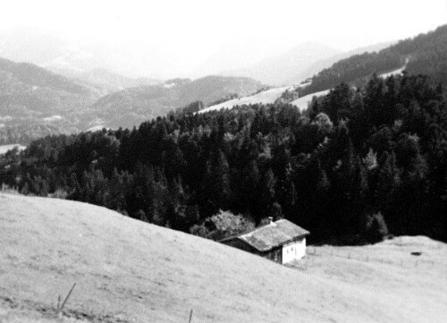 [Vorsäß Oberer Geißkopf, Schwarzenberg]