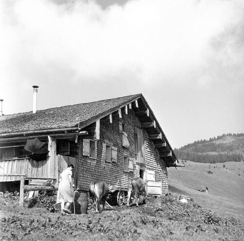 [Vorsäß Klausberg-Hinterstück, Schwarzenberg]