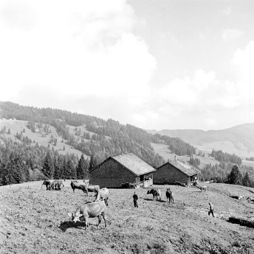 [Vorsäß Klausberg-Hinterstück, Schwarzenberg]