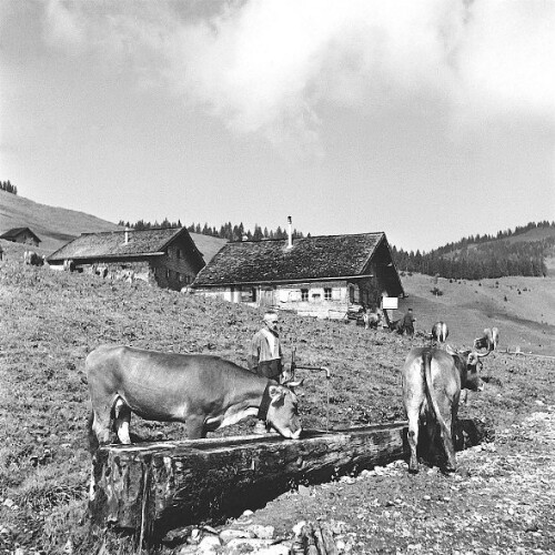 [Vorsäß Klausberg-Hinterstück, Schwarzenberg]