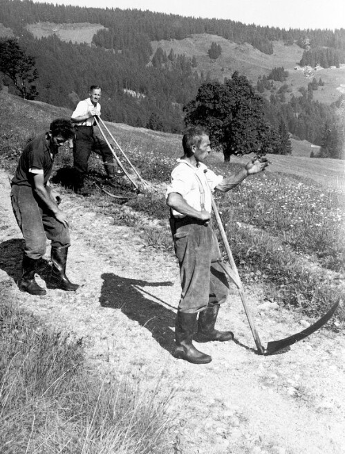 [Vorsäß Klausberg-Hinterstück, Schwarzenberg]