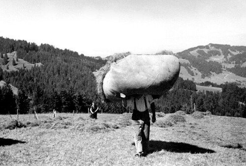 [Vorsäß Klausberg-Hinterstück, Schwarzenberg]