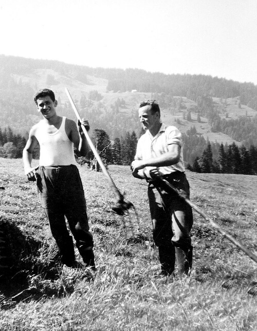 [Vorsäß Klausberg-Hinterstück, Schwarzenberg]