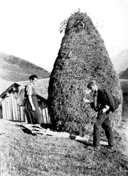 [Berggut Ahornen, Au]