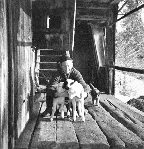 [Berggut Berngat, Au]