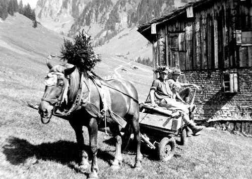 [Berggut Berngat, Au]