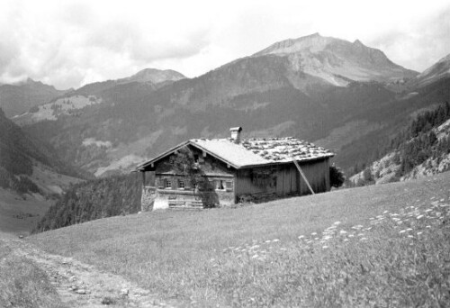 [Berggut Berngat, Au]