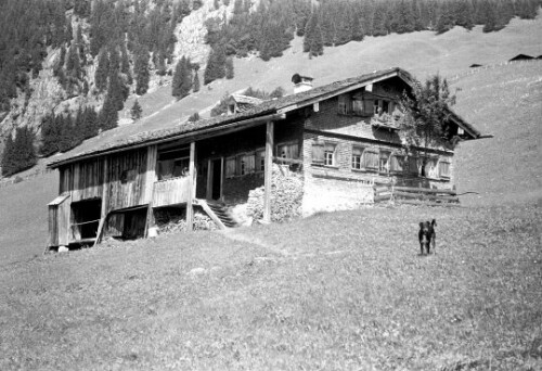 [Berggut Berngat, Au]