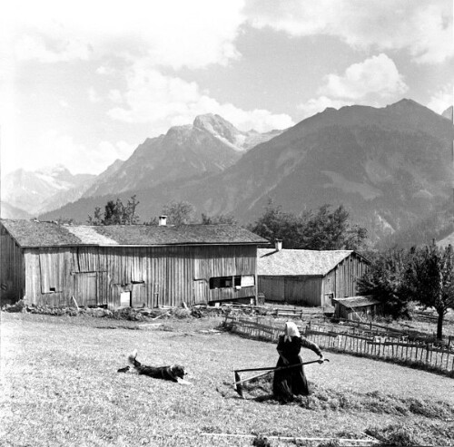 [Berggut Berngat, Au]