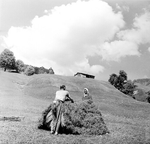 [Berggut Berngat, Au]