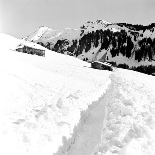 [Berggut Berngat, Au]