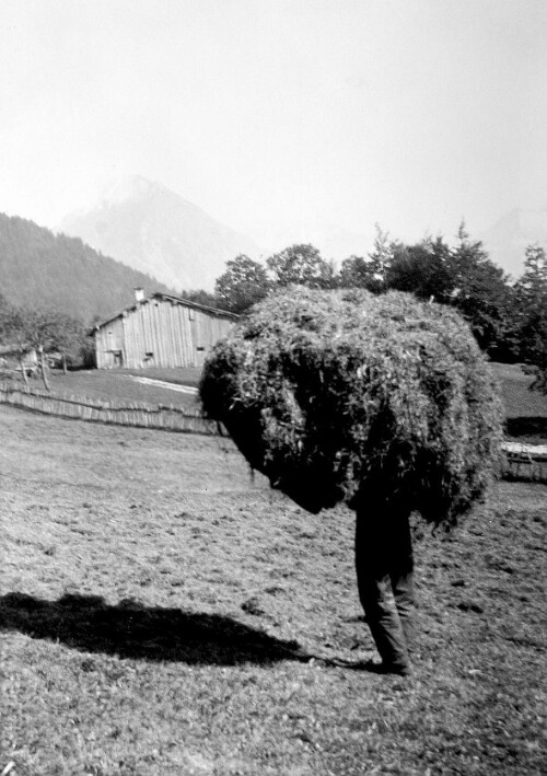 [Berggut Berngat, Au]