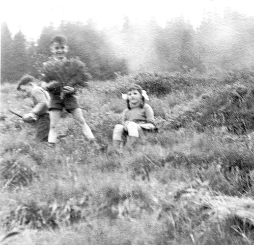 [Berggut Berngat, Au]