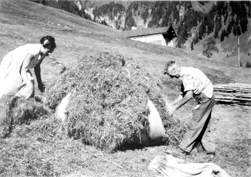 [Berggut Berngat, Au]