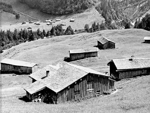[Vorsäß Schalzbach, Schoppernau]
