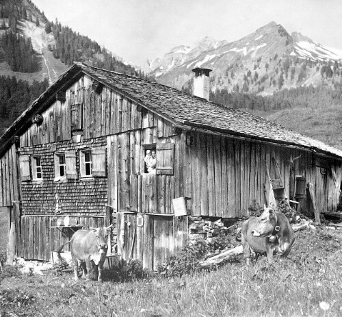 [Vorsäß Schalzbach, Schoppernau]