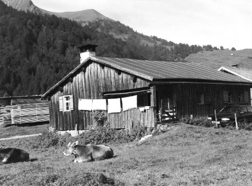 [Vorsäß Vorderhopfreben, Schoppernau]