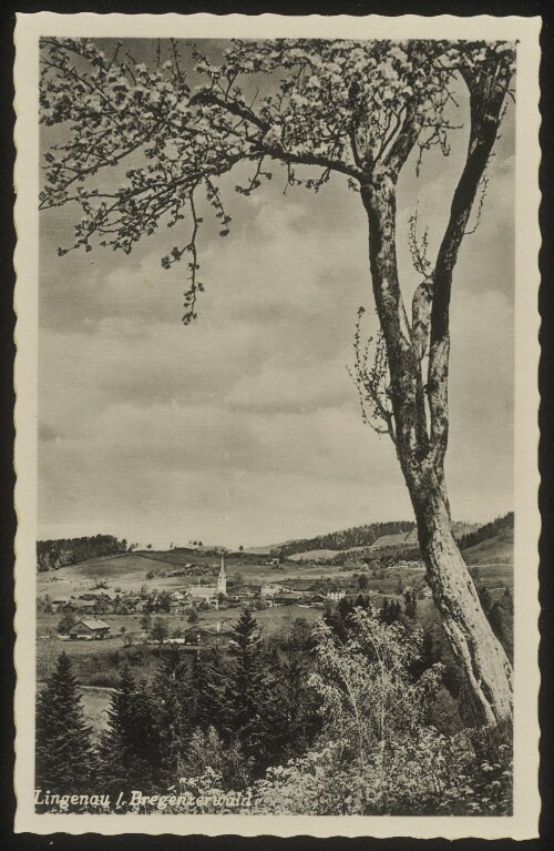 Lingenau / Bregenzerwald