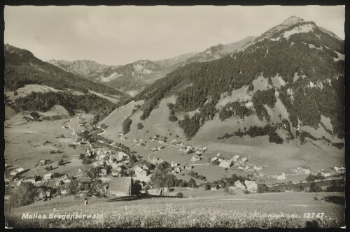 Mellau Bregenzerwald